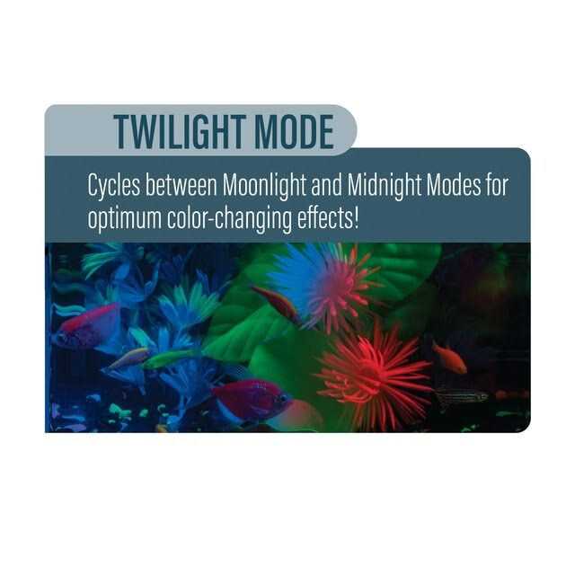 Cycle Light B13540