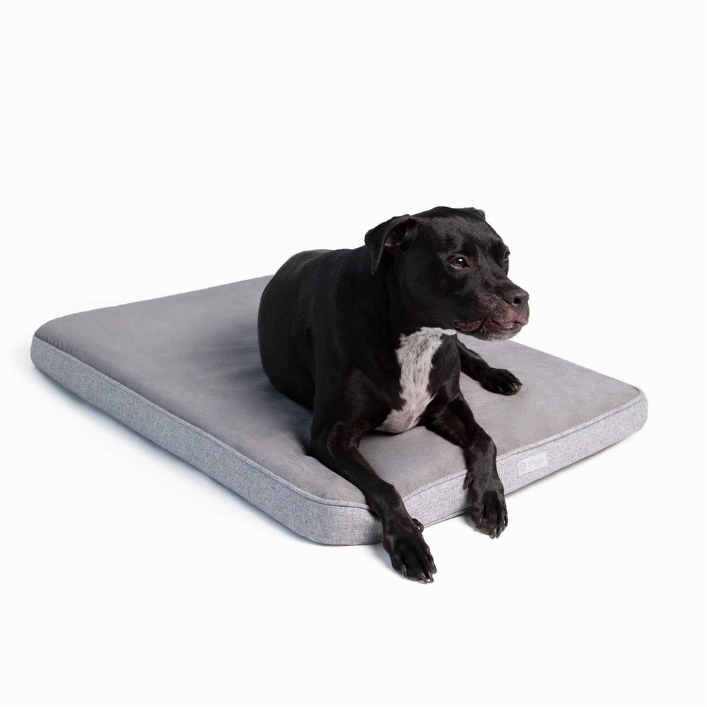 Memory Foam Dog Bed W8737