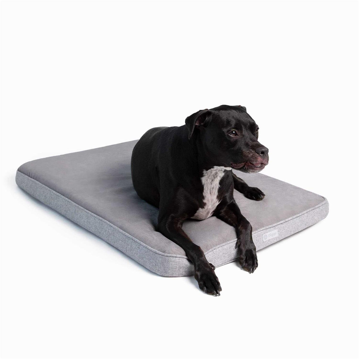 Memory Foam Dog Bed W8737