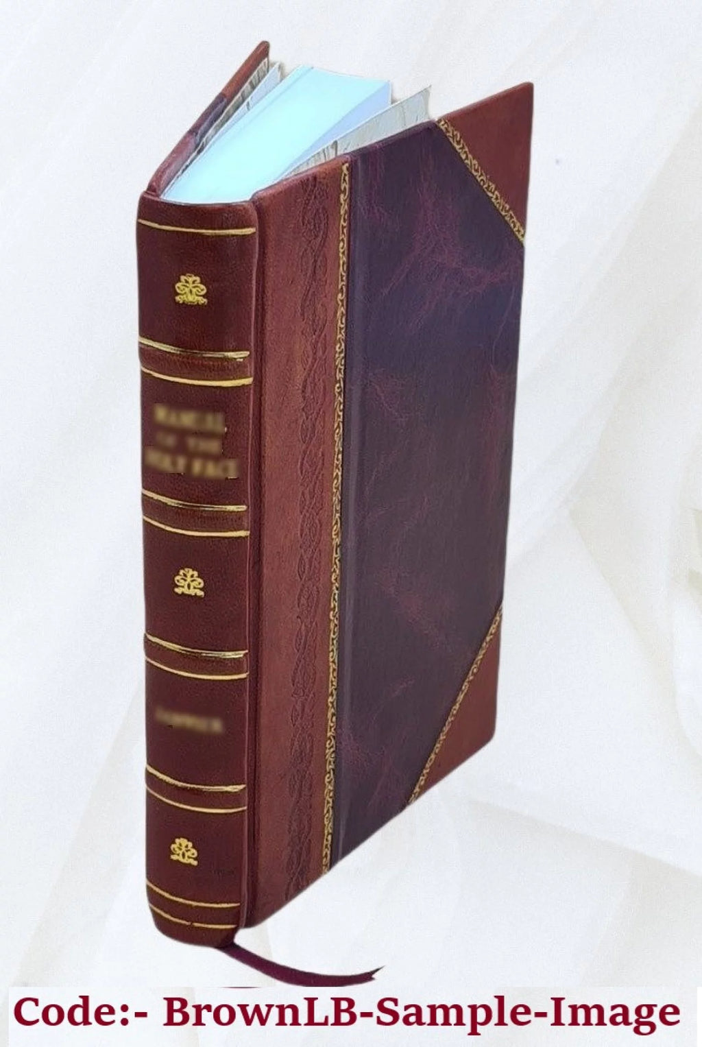 1906 Leather Bound G4654