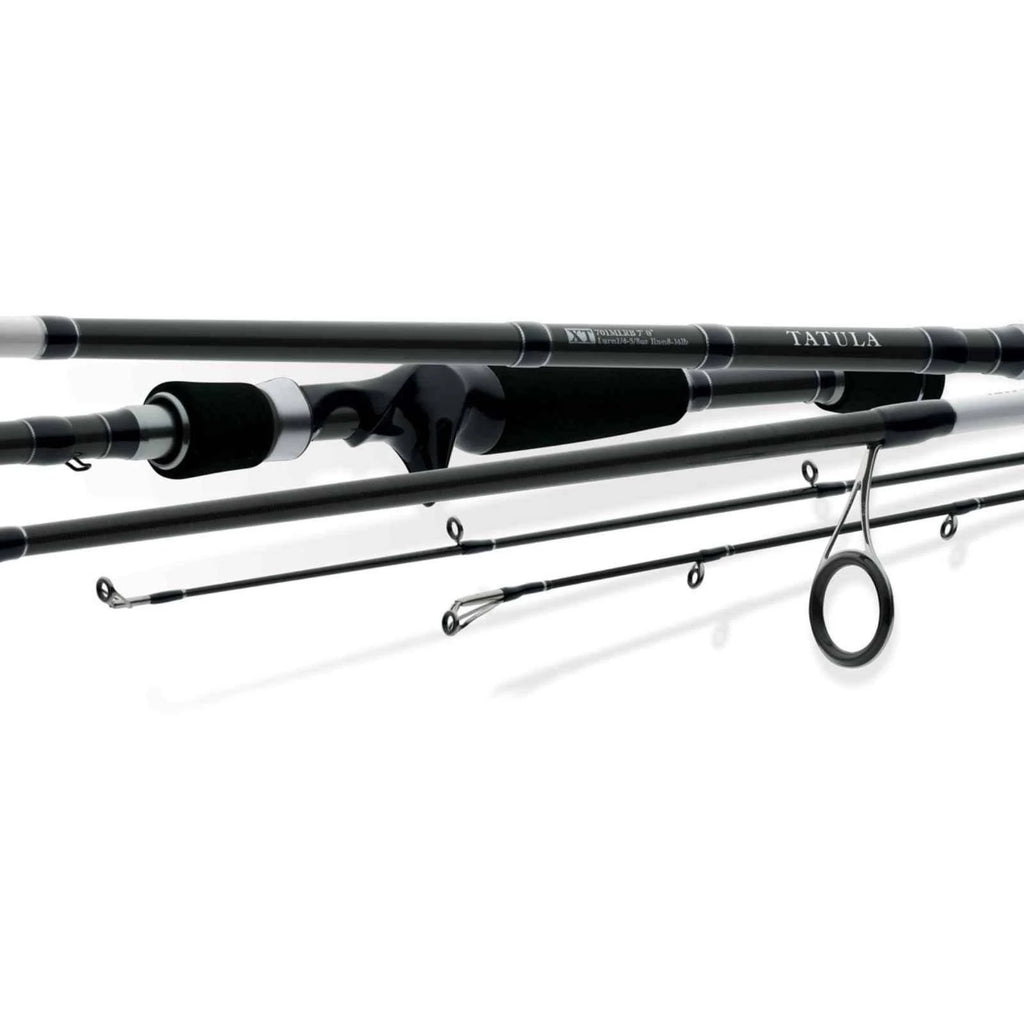 Bass Casting Rod Q156616