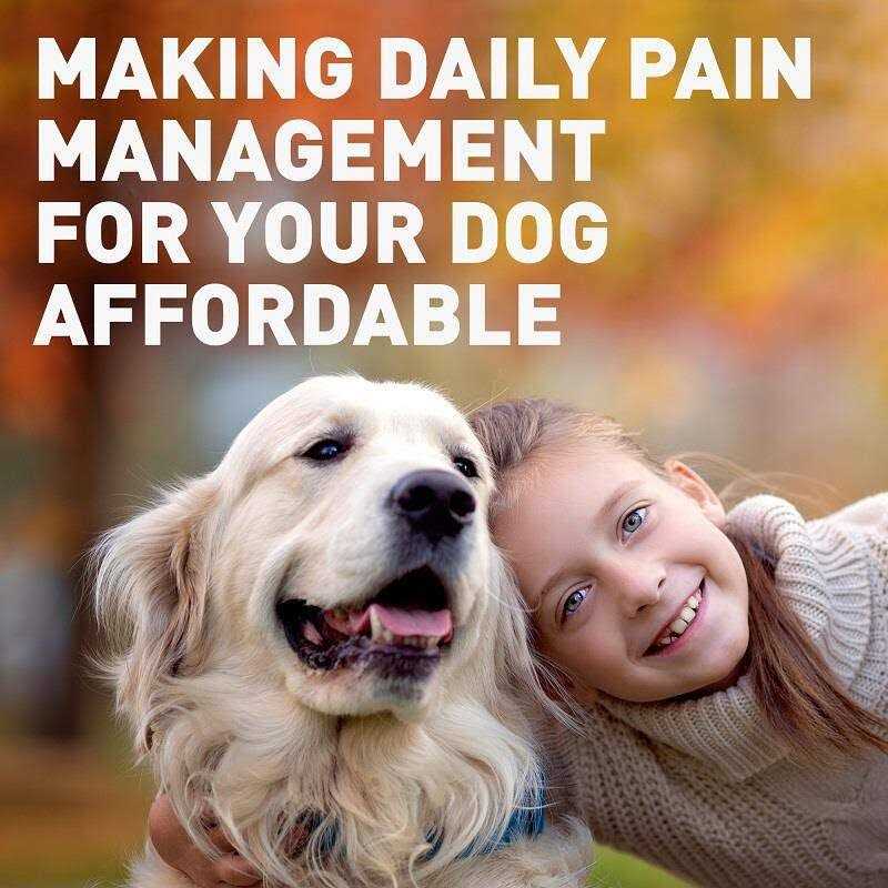 Chewable Tablets C8690