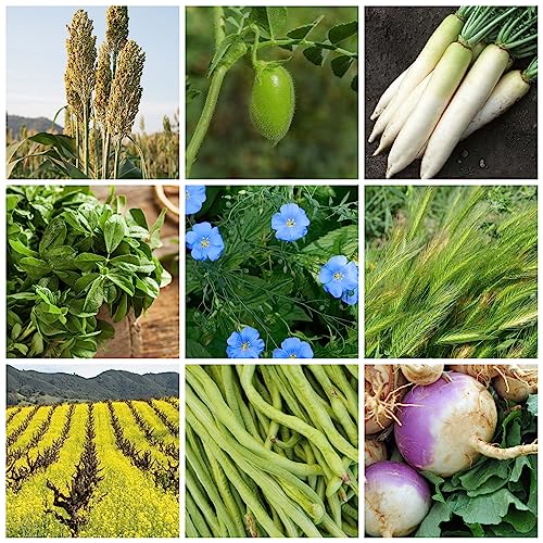 5 lb Non-GMO Cover Crop Seed Mix Z737