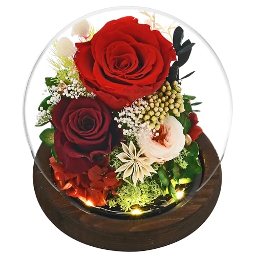 Rose in Glass Dome with LED Light L729