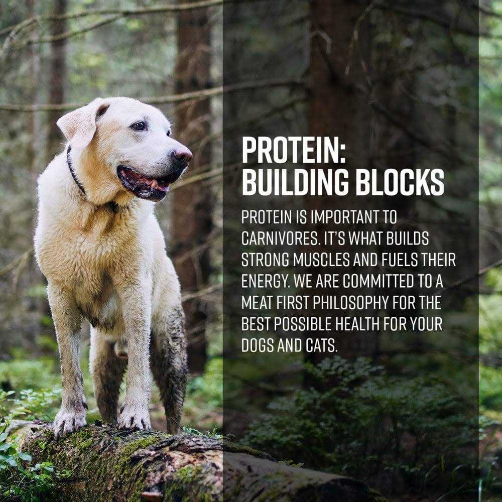 Ocean Recipe Dog Dry Food S855864