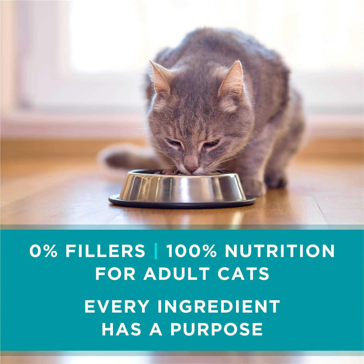 Wet Cat Food H4835