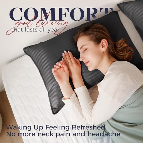 King Size Down Alternative Pillows Set of 2 V40618