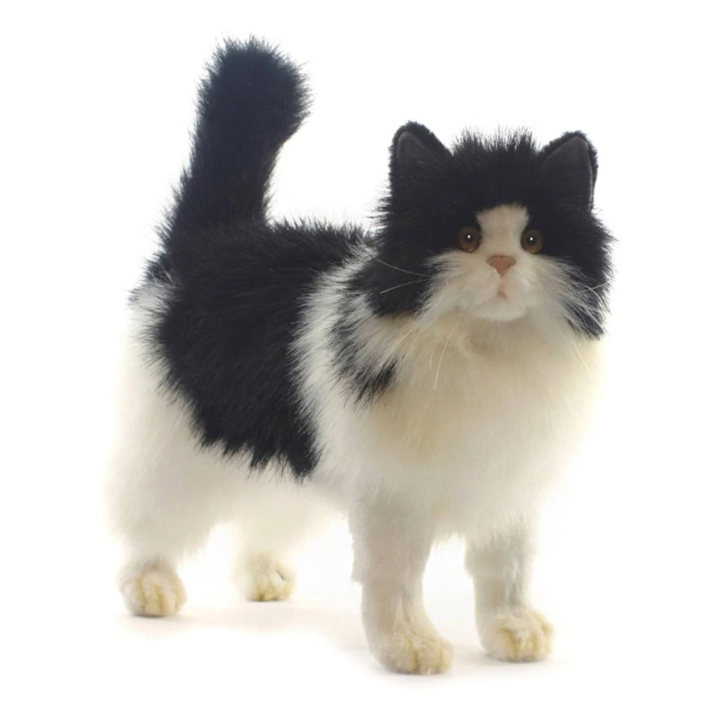 Black and White Cat Plush B549159
