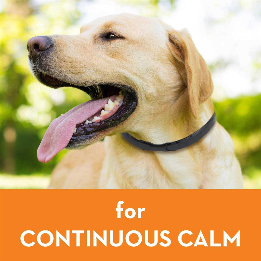 Calming Dog Collar X777