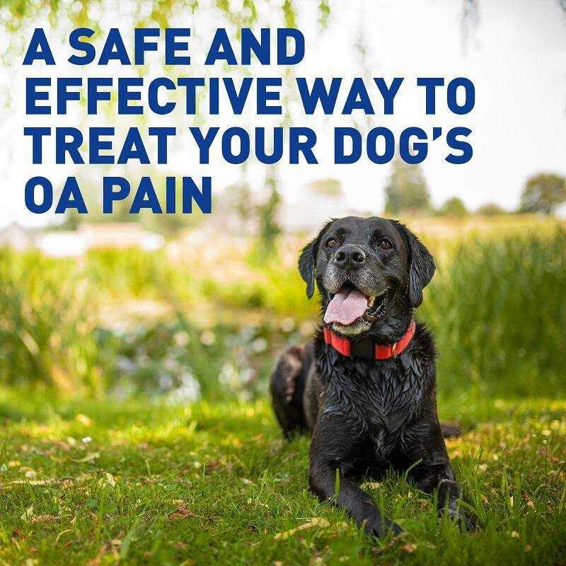 Chewable Tablets C8690