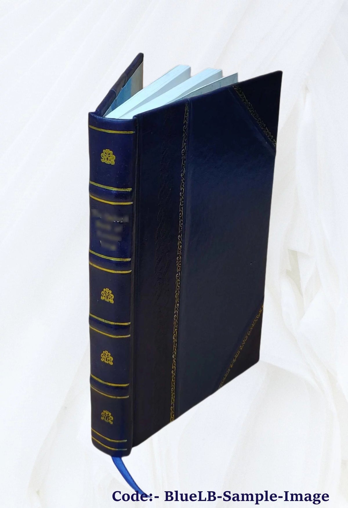 1906 Leather Bound G4654