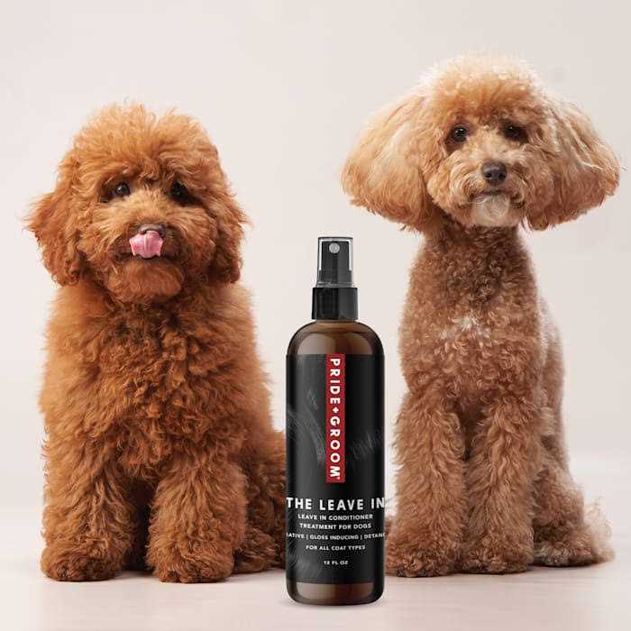 Leave in Conditioner Treatment for Dogs W811