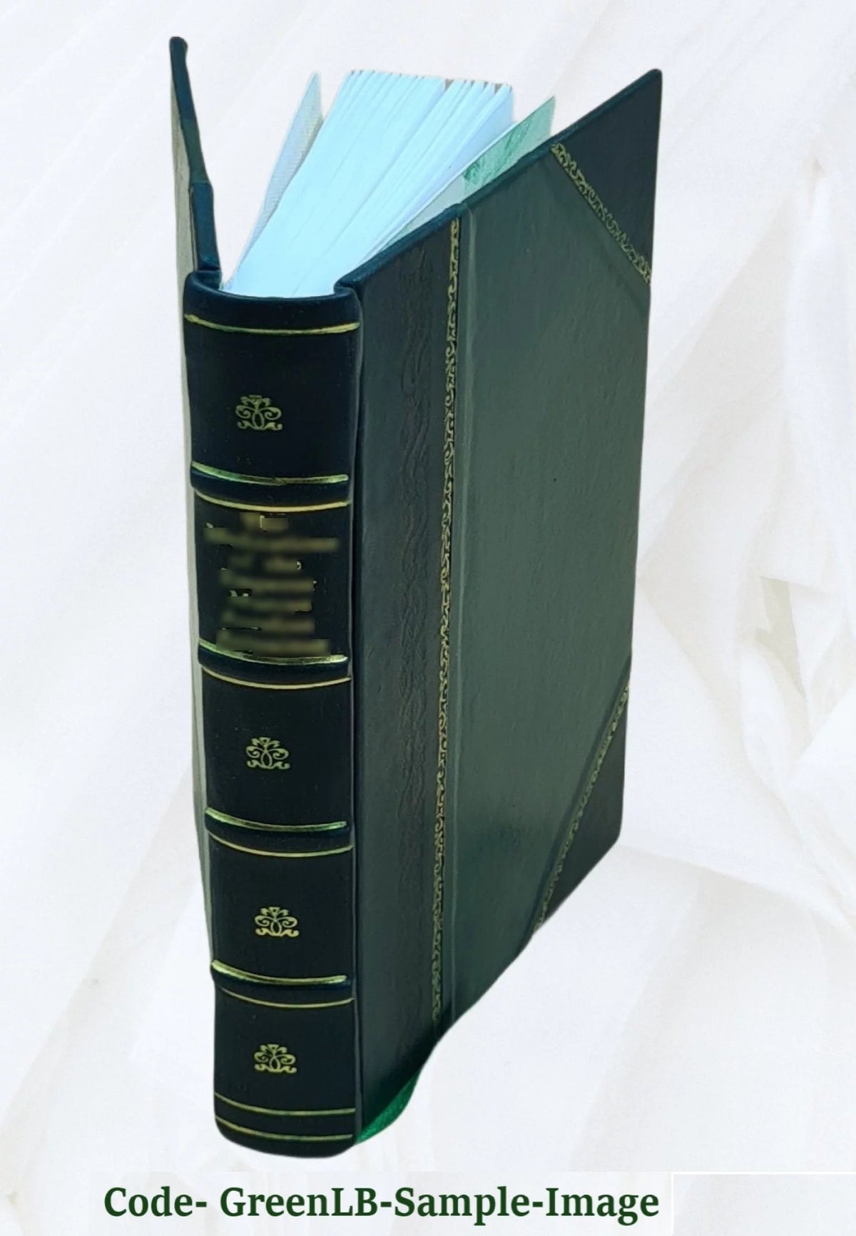 1906 Leather Bound G4654