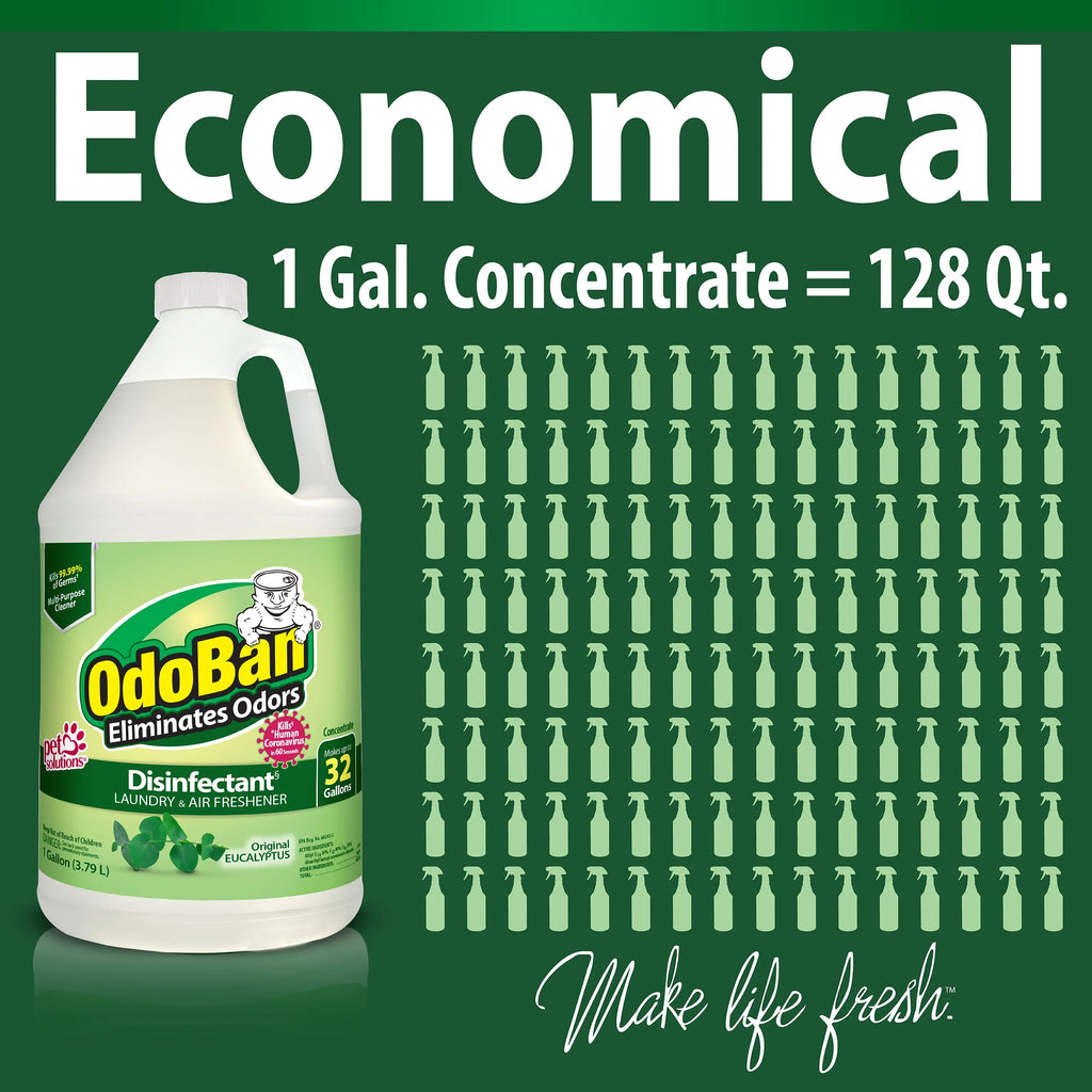 1 Gallon Multipurpose Cleaner Concentrate, 32oz Ready-to-Use, 4oz Travel Spray, Eucalyptus Scent A205