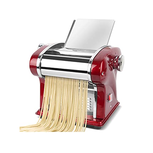 Automatic Stainless Steel Pasta Maker N1639