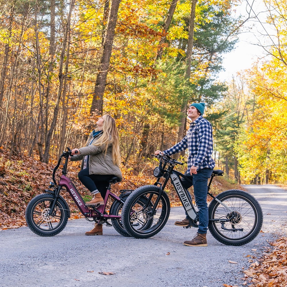 Electric Bike with 48V 14.4AH Removable Battery, 20" x 4.0 Fat Tire S175