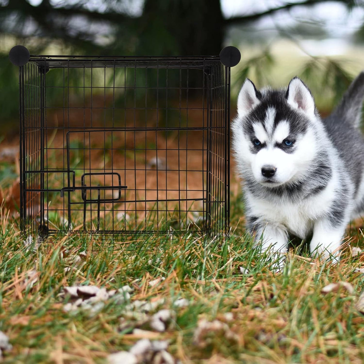 Black Pack of 2 Foldable Metal Dog Exercise Playpen U93701