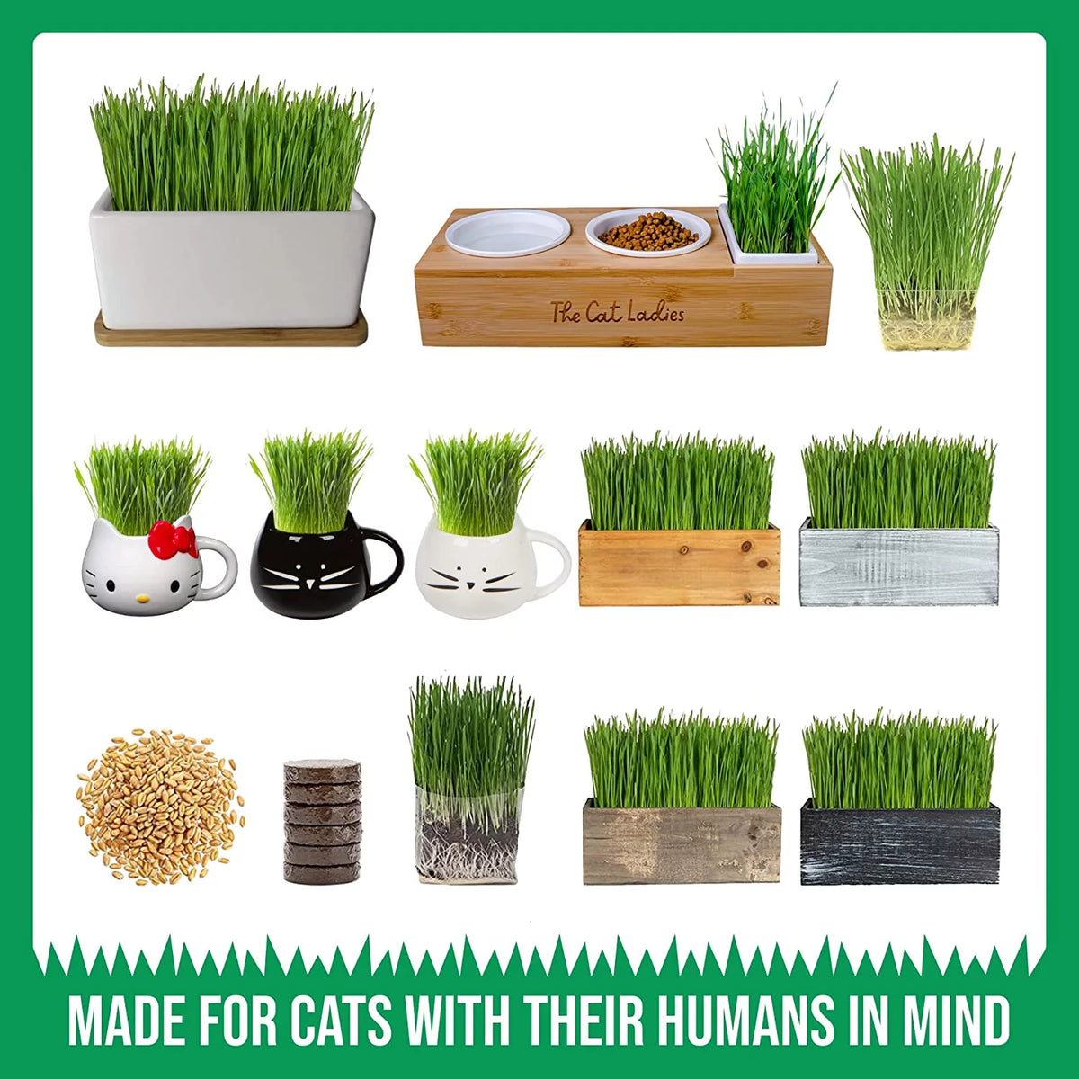 Organic Cat Grass Growing Kit with Seed Mix, Soil and Ceramic Planter H55793