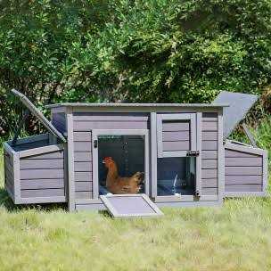 Chicken Coop with 2 Nesting Boxes K855