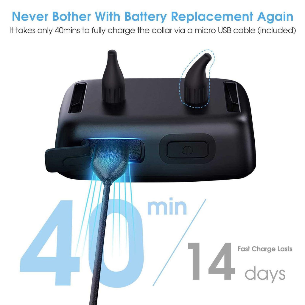 APP Control Waterproof Dog Collar U63601