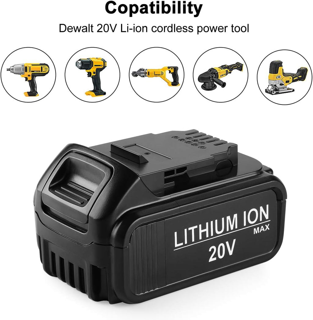 2 Pack 20V MAX Lithium Battery and Charger F907