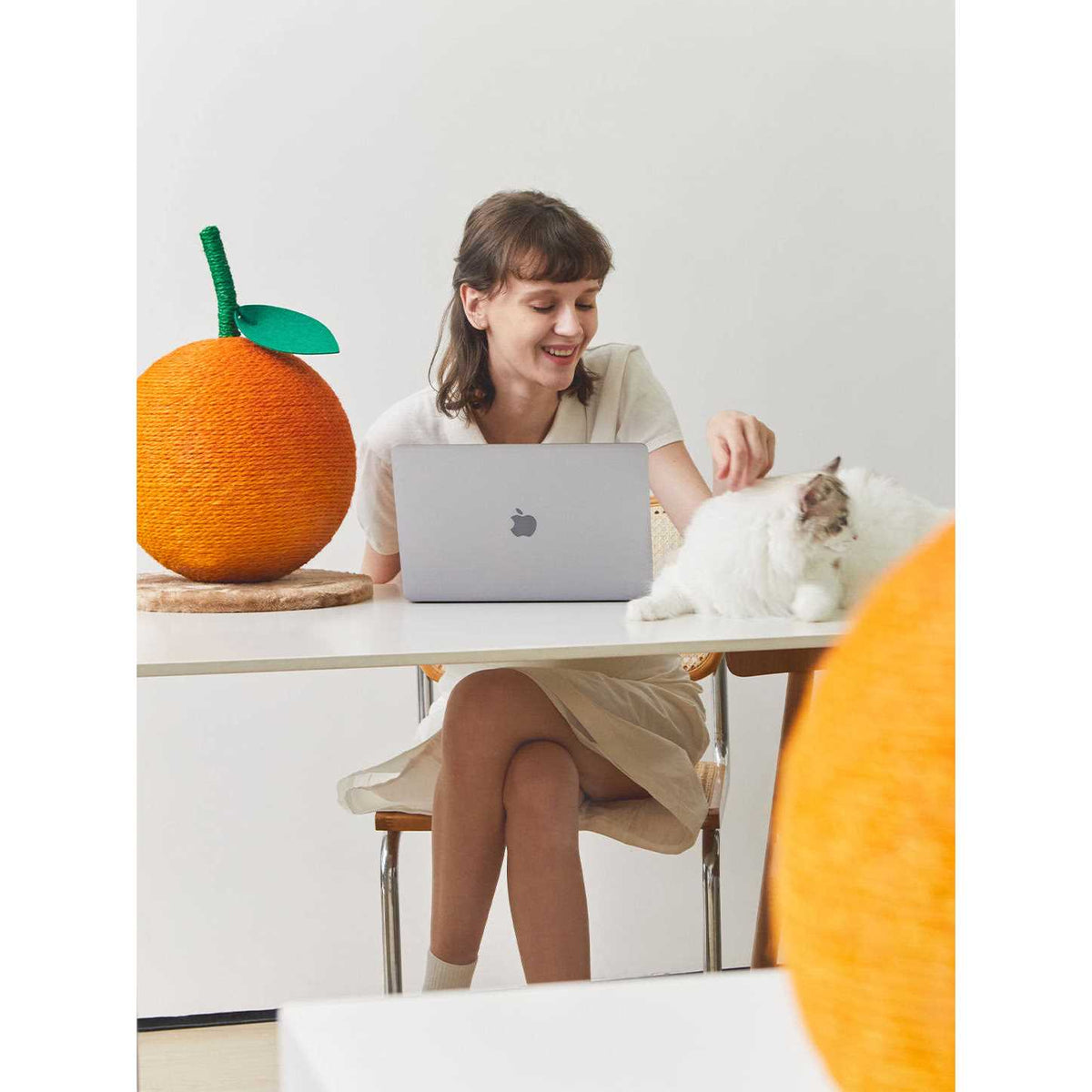 Cat Scratching Ball Toy N8527