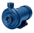 1 HP Cast Iron Centrifugal Pump O5220