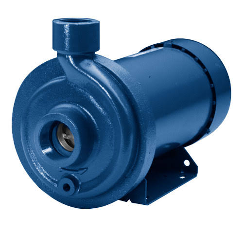 1 HP Cast Iron Centrifugal Pump O5220