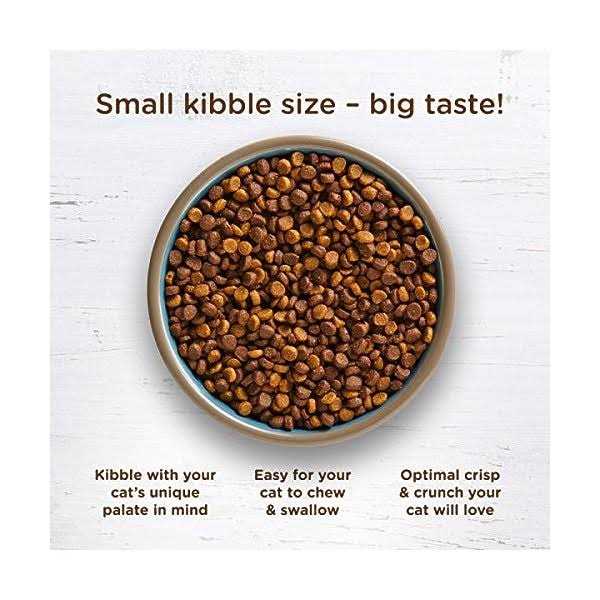 Dry Cat Food P4931