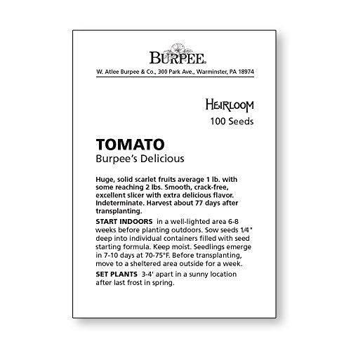 Red Beefsteak Slicing Tomato, 175 Non-GMO Seeds M8990