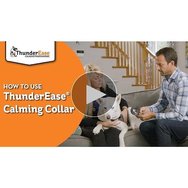 Calming Dog Collar X777