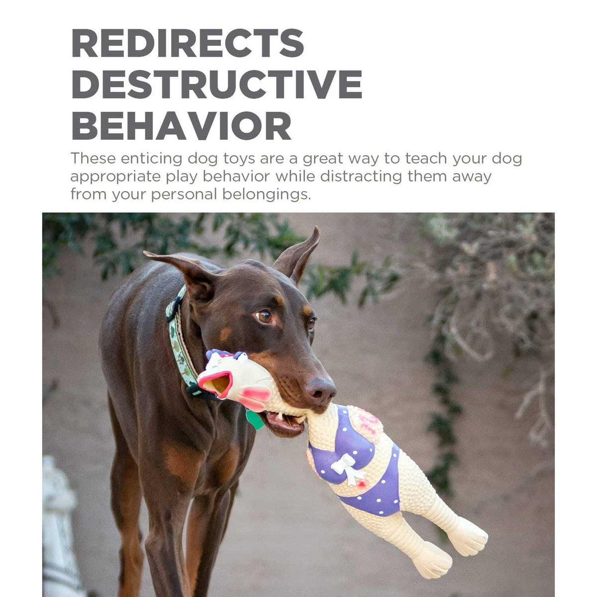 Dog Toy G52025