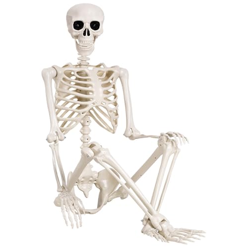 5.4 ft Life Size Posable Plastic Skeleton Y22234