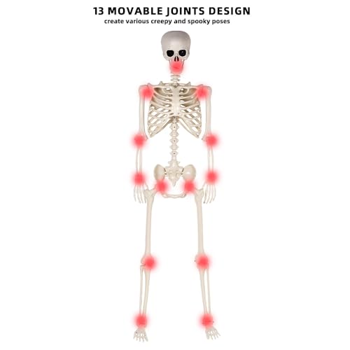 5.4 ft Life Size Posable Plastic Skeleton Y22234