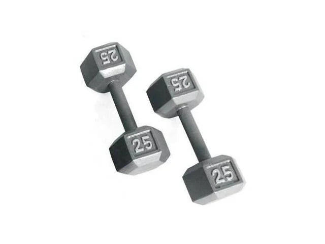 Grey Solid Hex Dumbbell 65 lbs U694