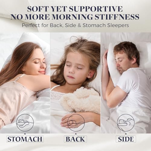 King Size Down Alternative Pillows Set of 2 V40618