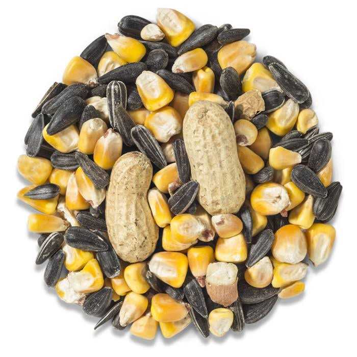 Squirrel Food B64786