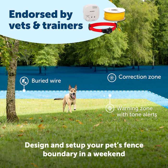 Waterproof Dog Collar with Tone and Static Correction V909