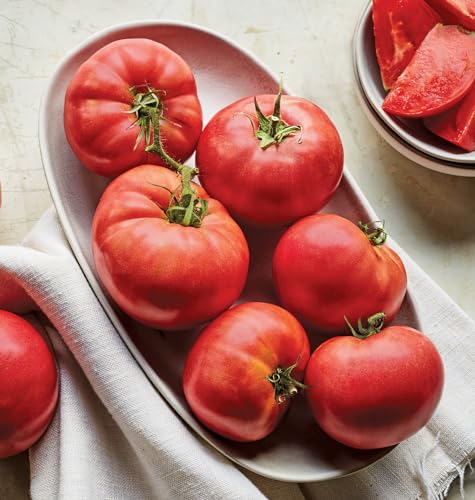 Red Beefsteak Slicing Tomato, 175 Non-GMO Seeds M8990