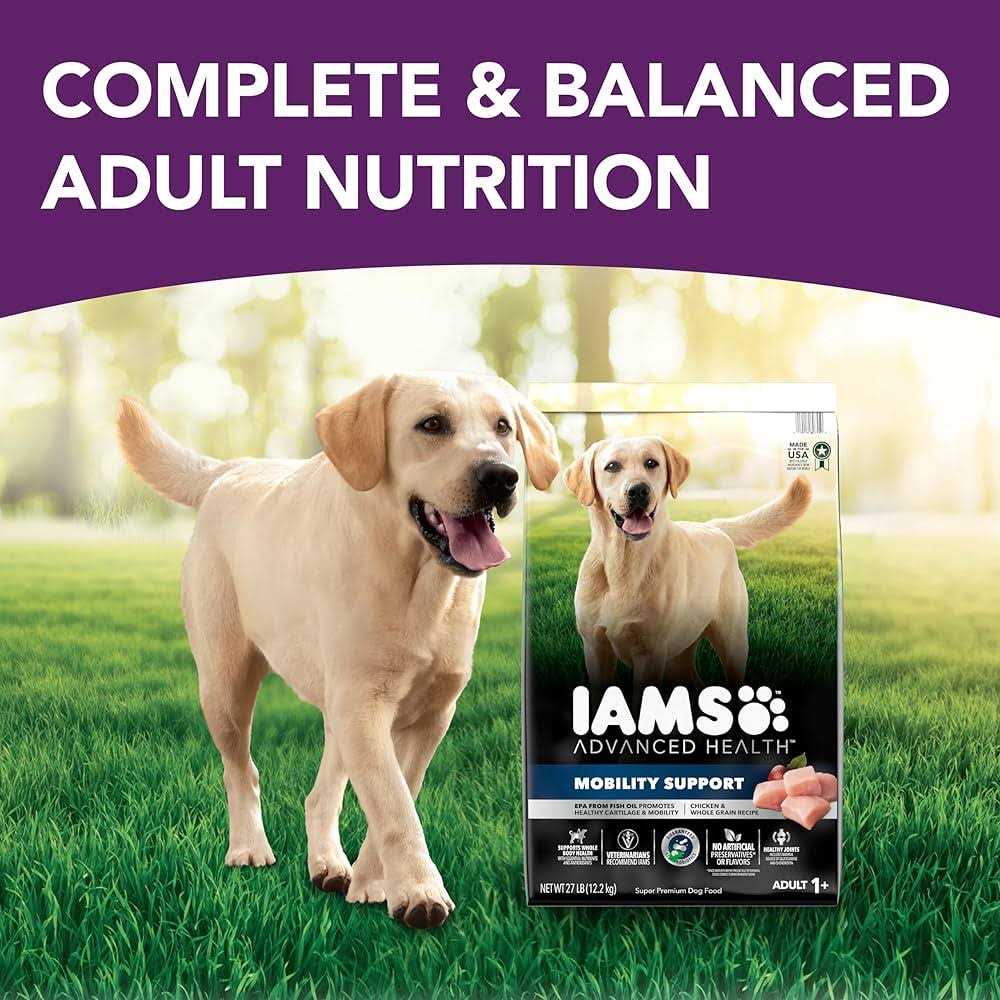 Chicken & Whole Grain Recipe Adult Dry Dog Food C782
