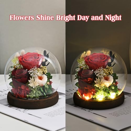 Rose in Glass Dome with LED Light L729