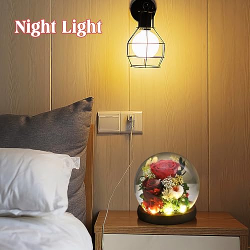 Rose in Glass Dome with LED Light L729