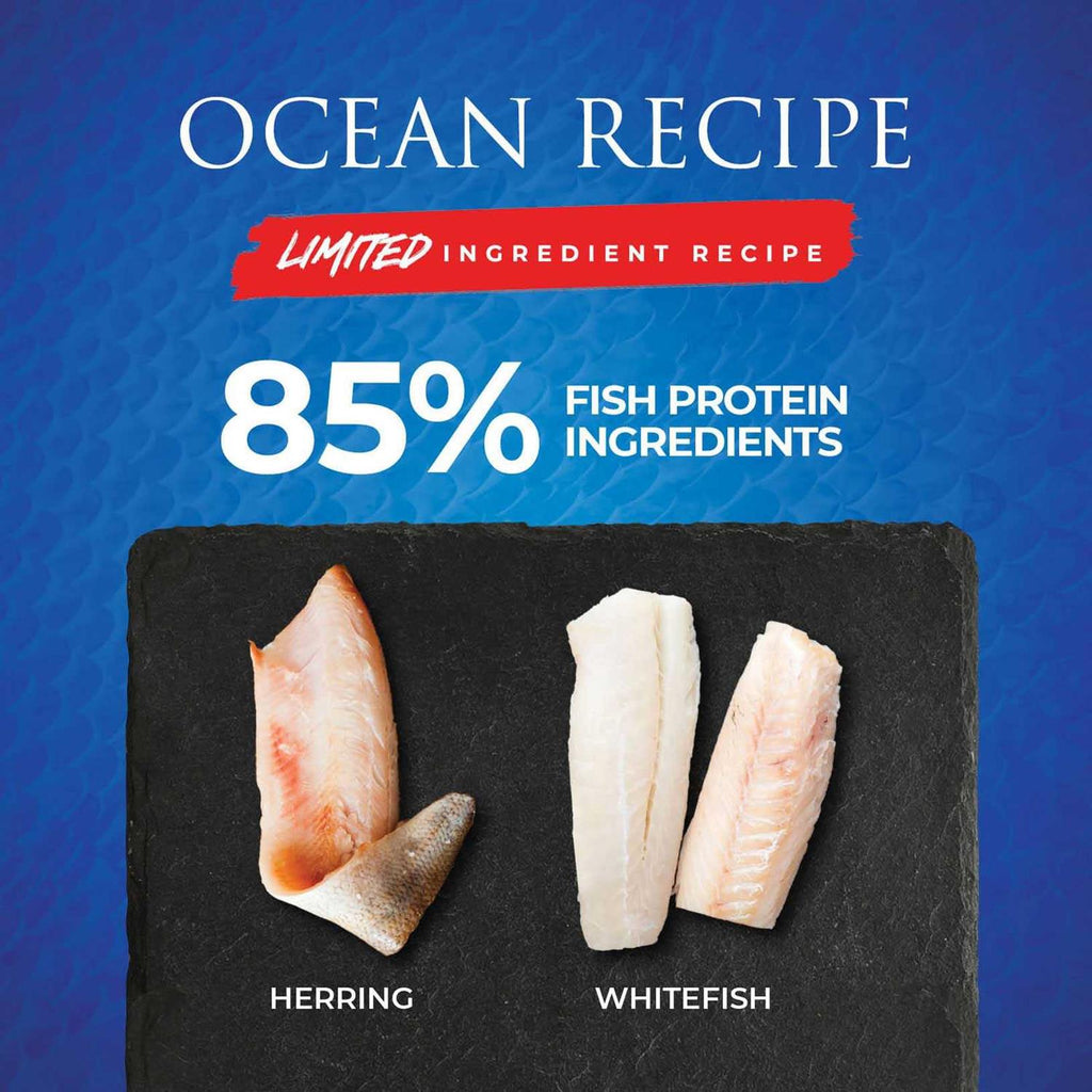 Ocean Recipe Dog Dry Food S855864