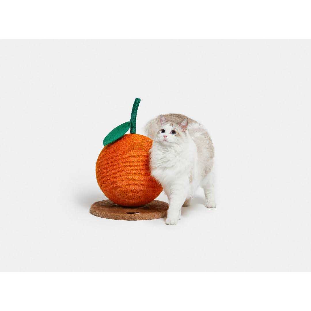 Cat Scratching Ball Toy N8527