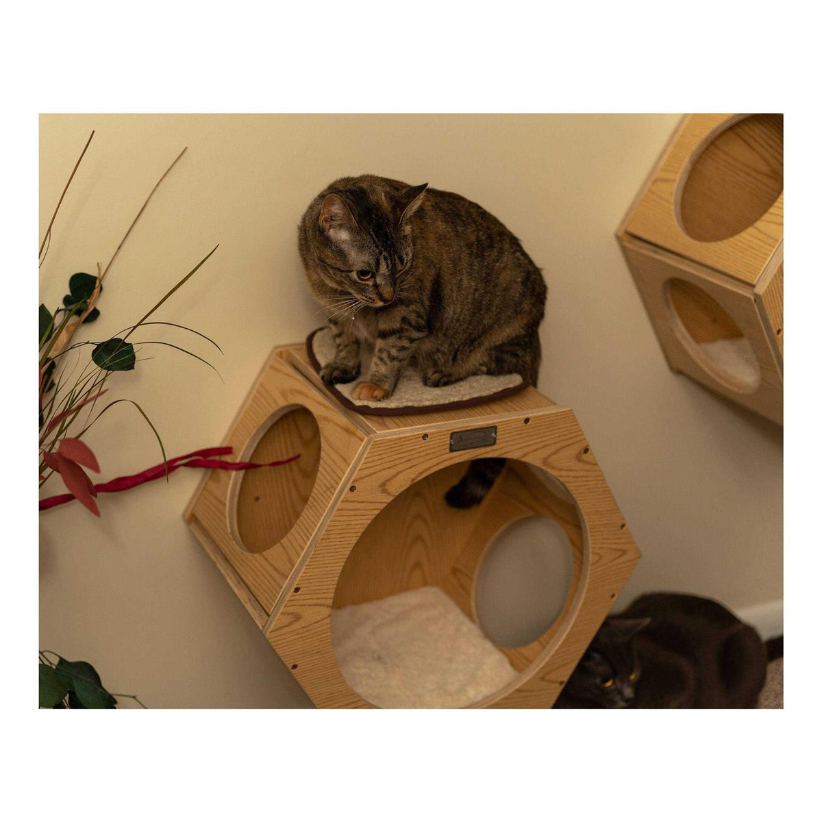 Set of Two Wood Wall Tree M7468