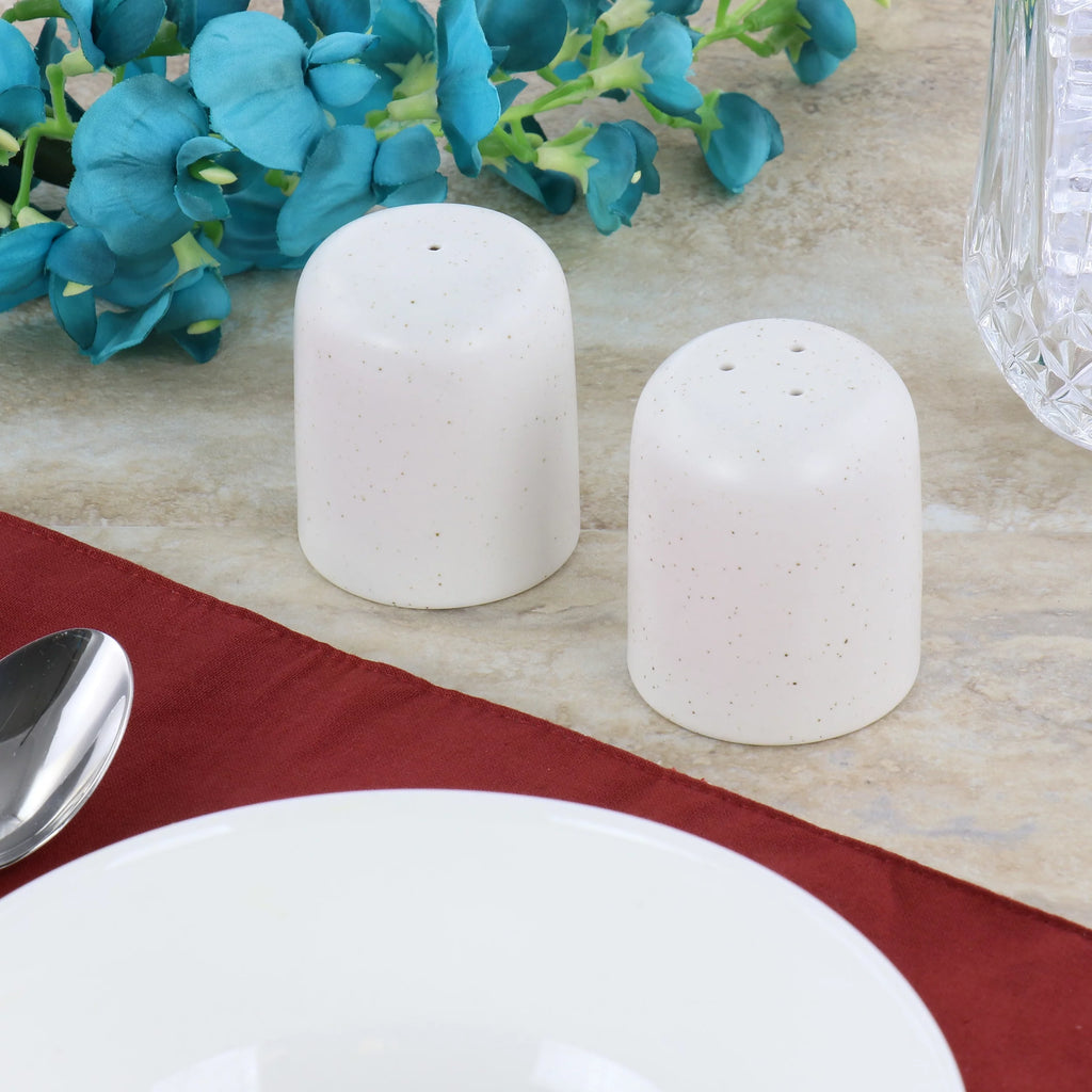 2.3 Inch Stoneware Salt and Pepper Shaker Set F5661