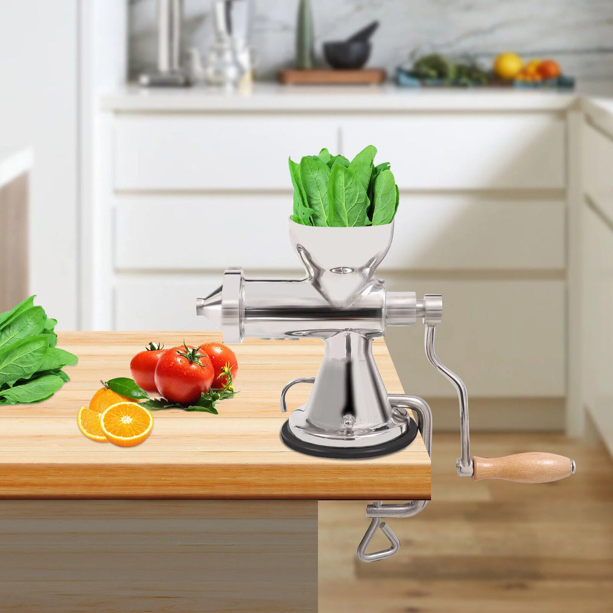 Manual Juicer Hand Fruit Vegetables Extractor R45113