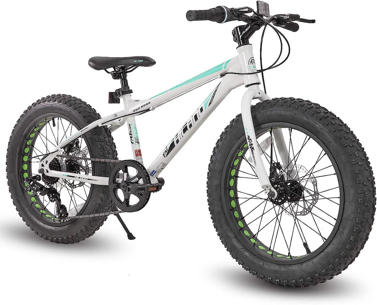 20 inch Kids Fat Tire Mountain Bike O726