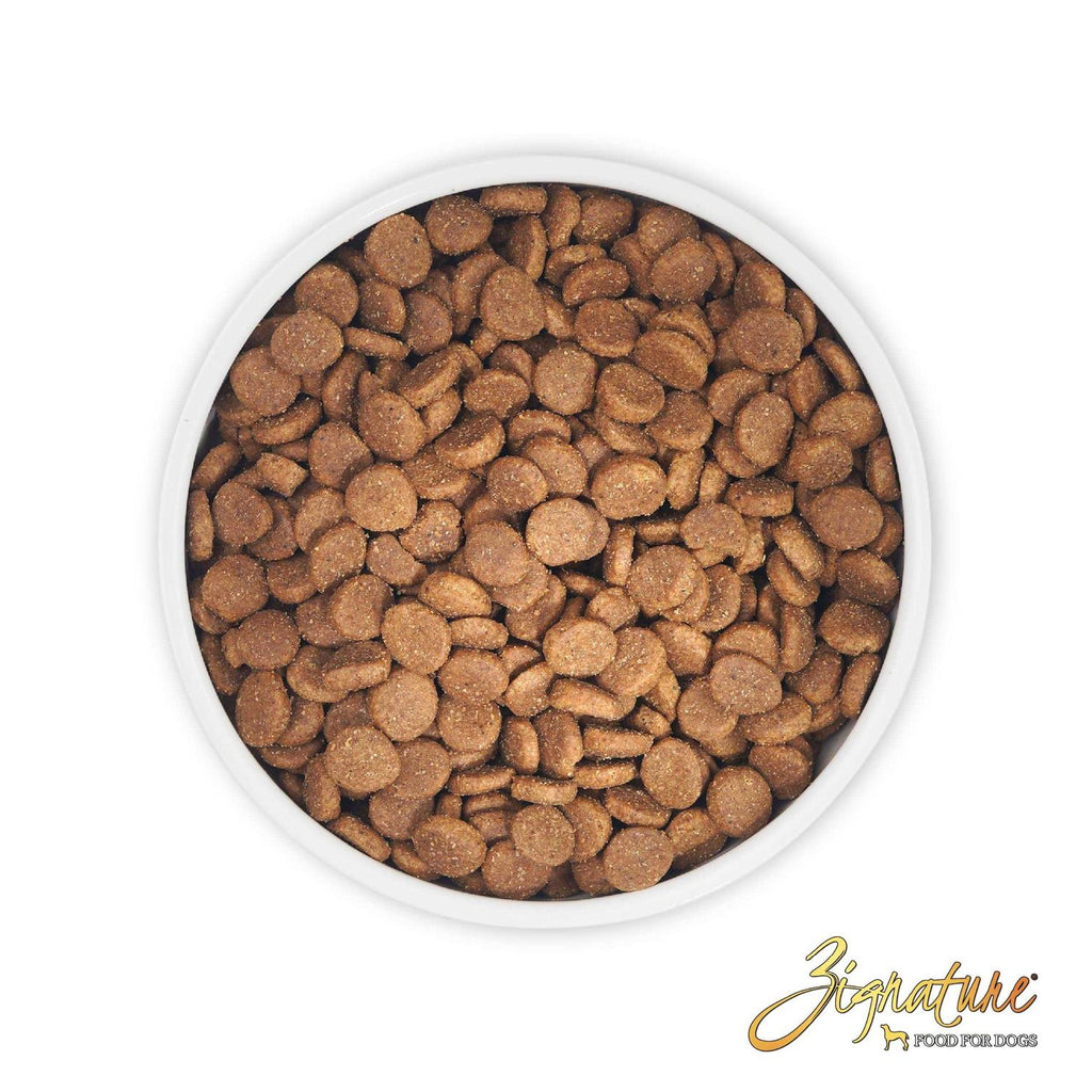 Turkey Formula Dry Dog Food Z11571