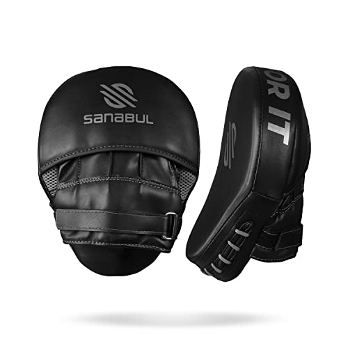 Curved Punching Mitts for Boxing U8242